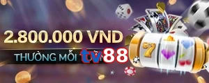 tv88