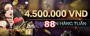 tv88