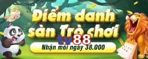 tv88