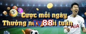 tv88